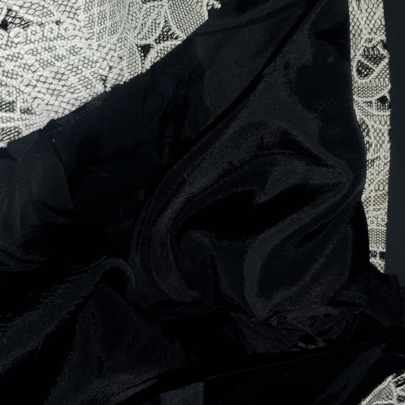 Gianni Bini High Waist Pleated Lace Skirt  Size 6 - Picture 5 of 5